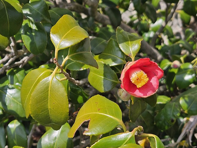 해남 달마산에 다녀왔어요.