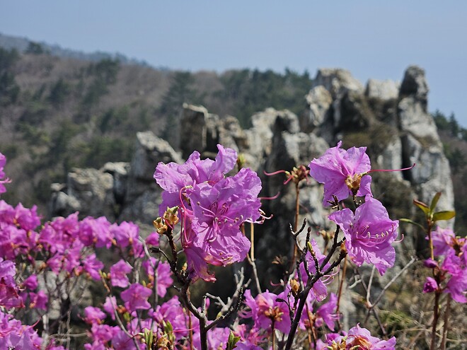 해남 달마산에 다녀왔어요.
