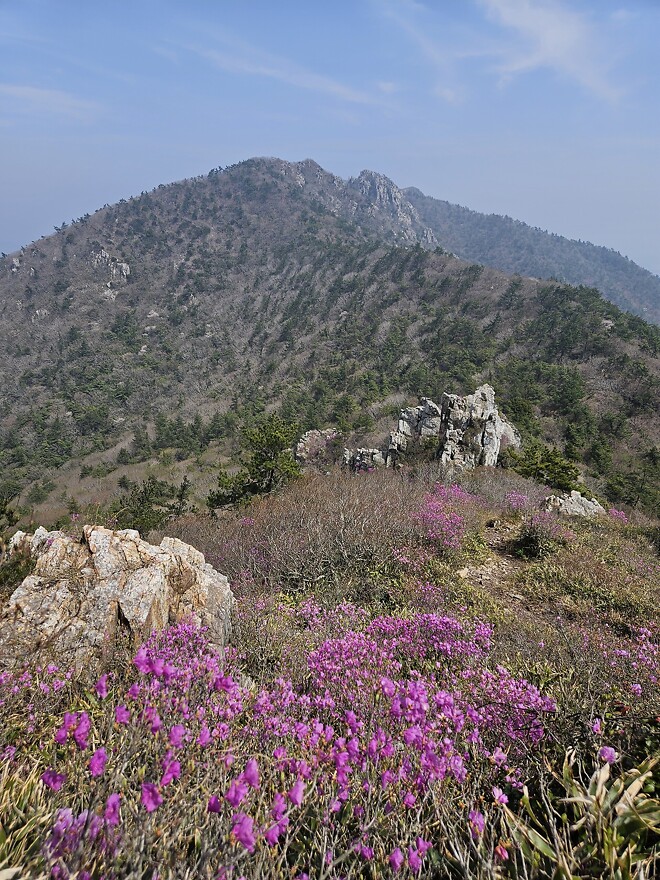 해남 달마산에 다녀왔어요.