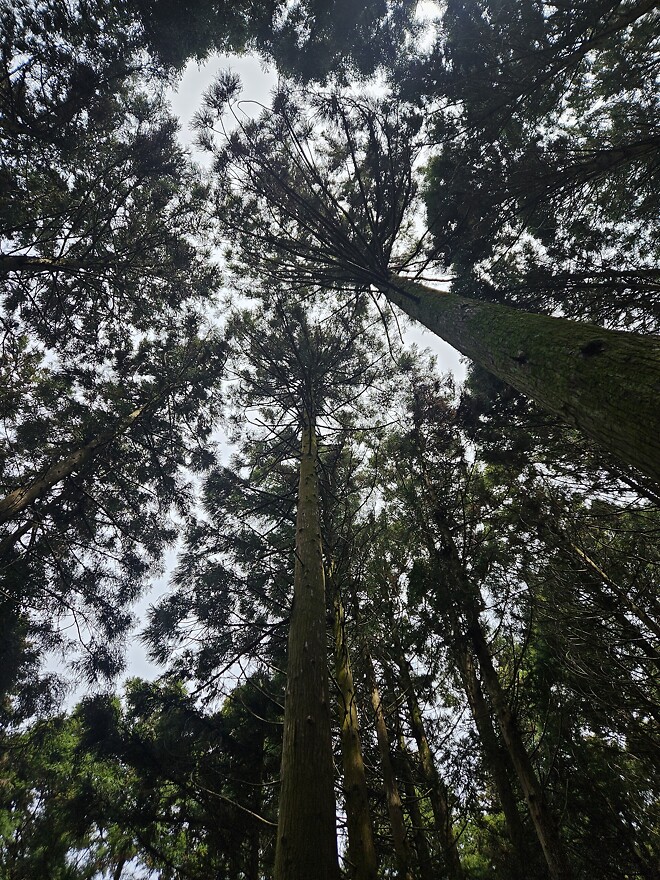 해남 달마산에 다녀왔어요.