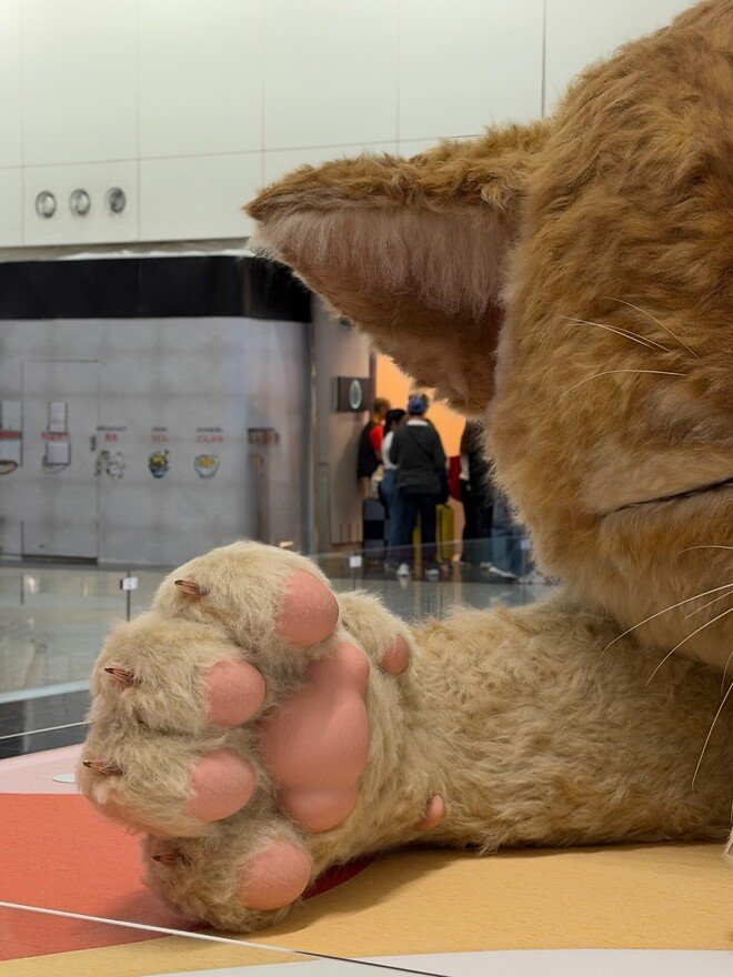 홍콩공항에 나타난 거대 고양이.jpg