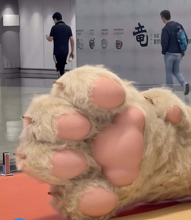 홍콩공항에 나타난 거대 고양이.jpg