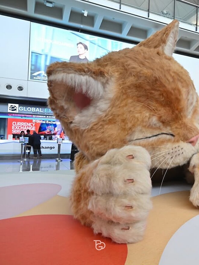 홍콩공항에 나타난 거대 고양이.jpg