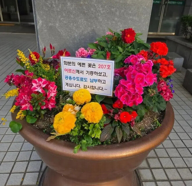 [펌] 꽃 화분 기증 안내 멘트