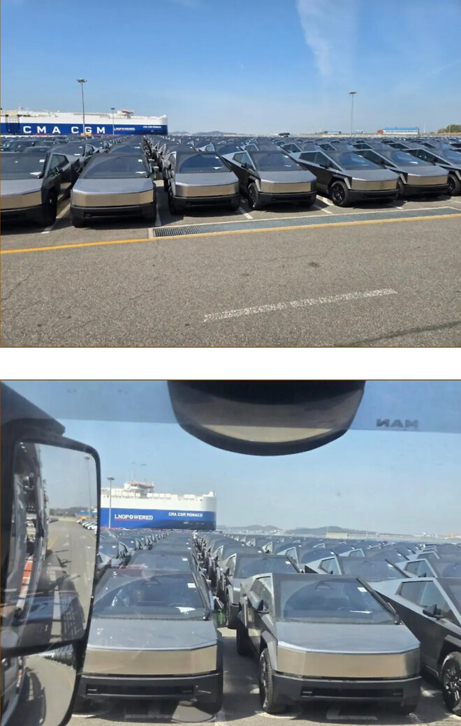 사이버트럭 평택항 실황