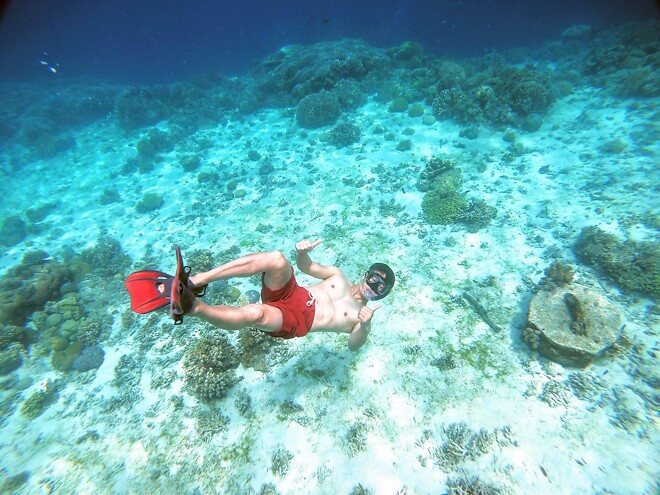 늙긴 늙었나봅니다.