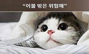 내일 오전 전국 기습 한파