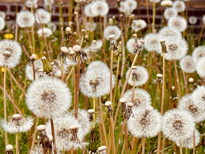내 차 타고 유럽여행 Ep12. 세계에서 제일 복잡한 국경마을 바를러에 가다.