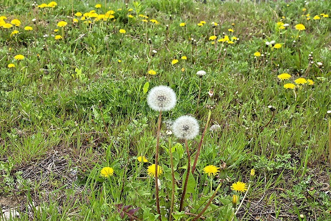 반나절 강릉 나들이
