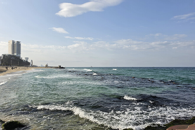 반나절 강릉 나들이