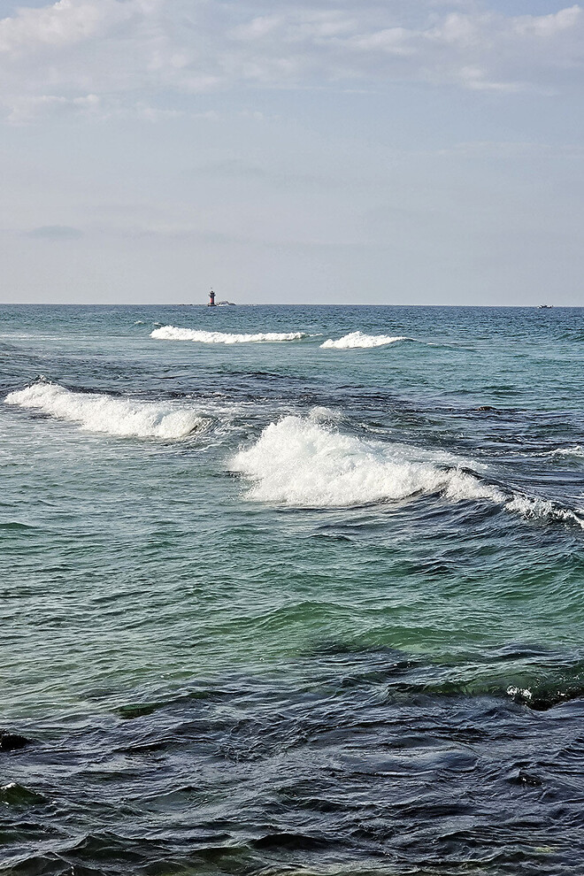 반나절 강릉 나들이