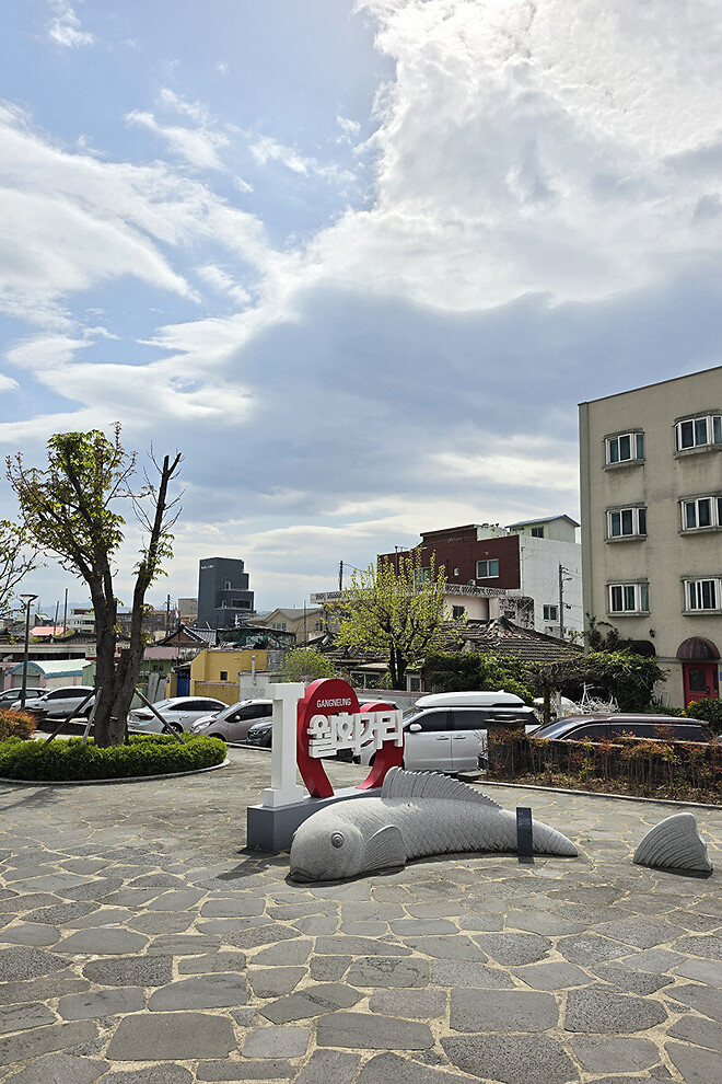 반나절 강릉 나들이