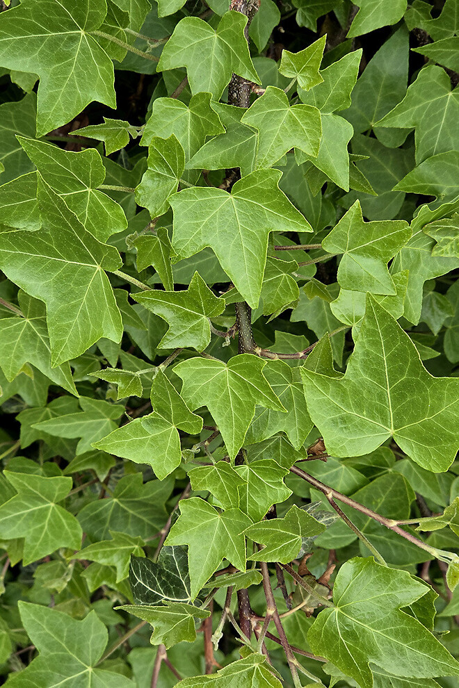 반나절 강릉 나들이