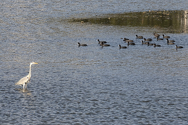 반나절 강릉 나들이
