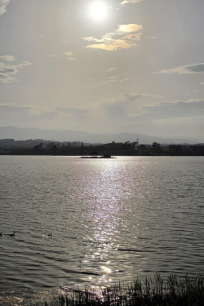 반나절 강릉 나들이