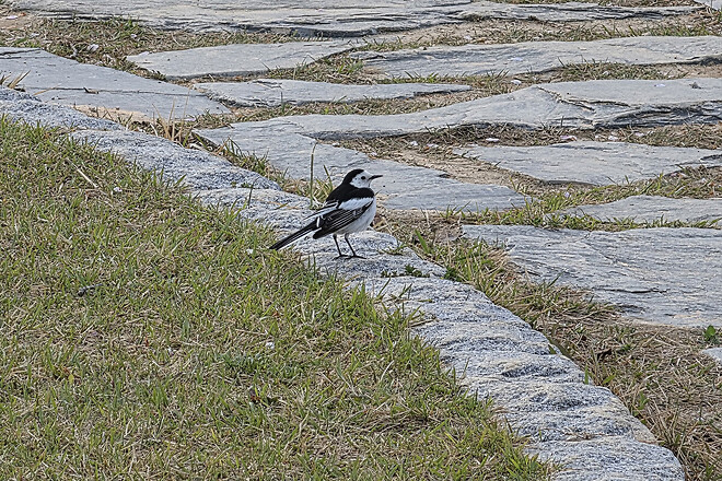 반나절 강릉 나들이
