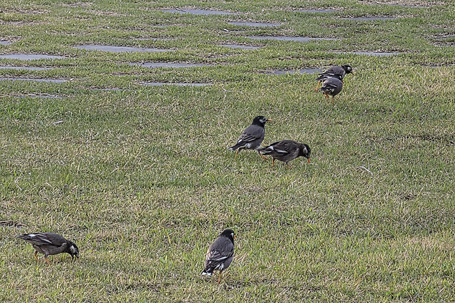 반나절 강릉 나들이