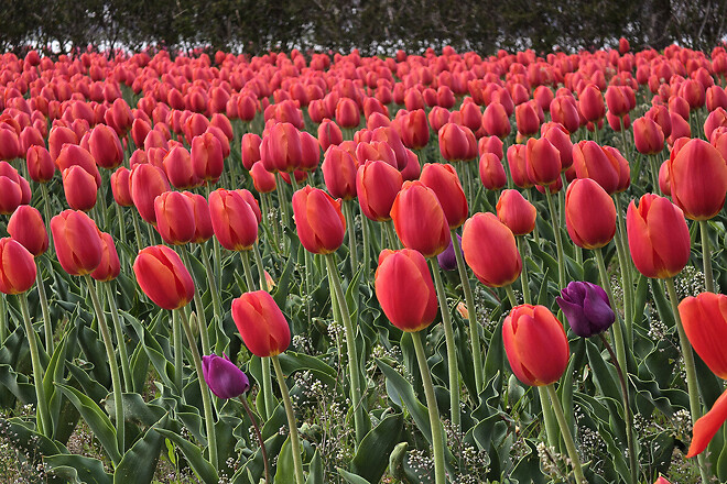 반나절 강릉 나들이