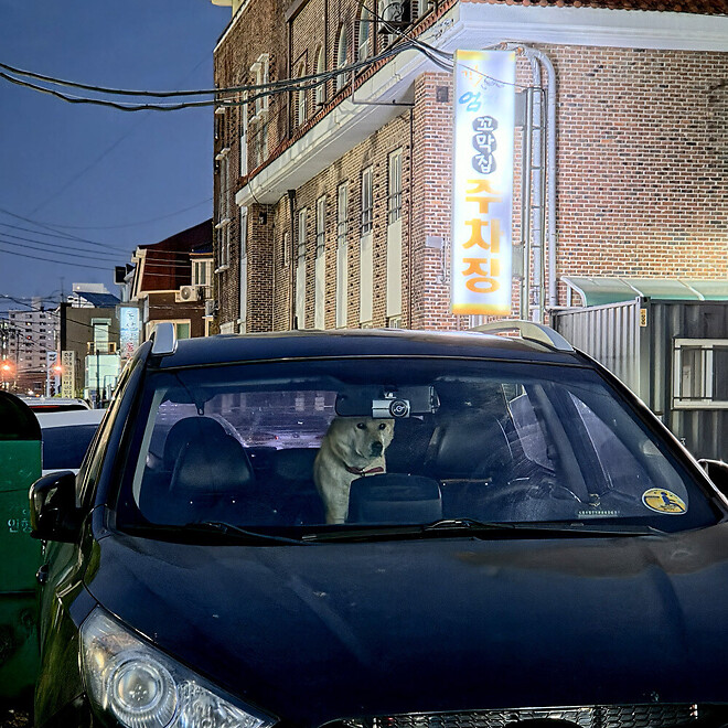 반나절 강릉 나들이