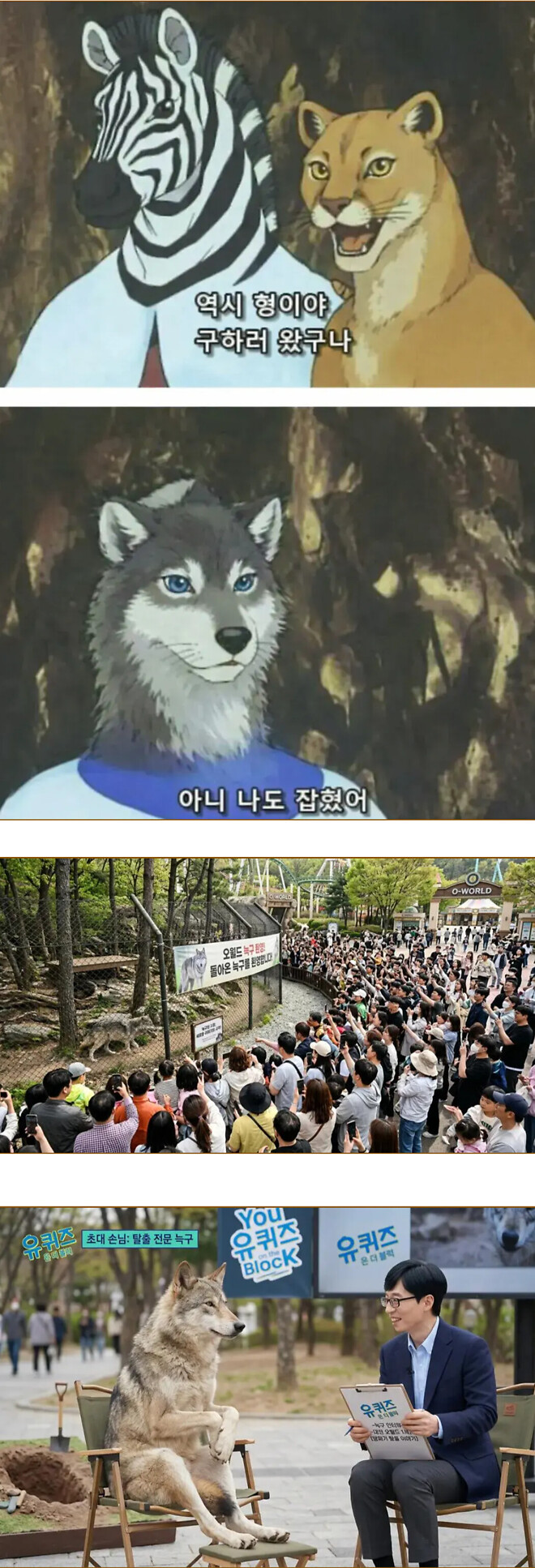 늑구 돌아온 대전 오월드 풍경