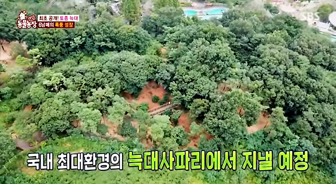 충격적인 늑구 본가