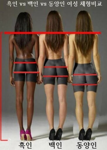 외국 모델 실물 체감