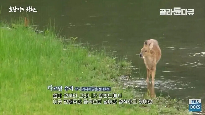 북한의 개판난 산림이 주는 유일한 이점