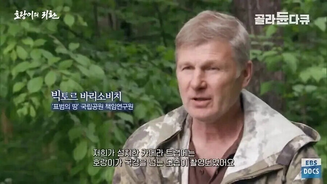 북한의 개판난 산림이 주는 유일한 이점