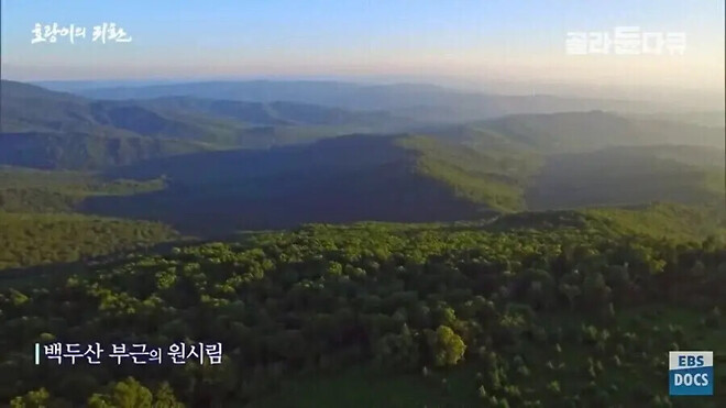 북한의 개판난 산림이 주는 유일한 이점