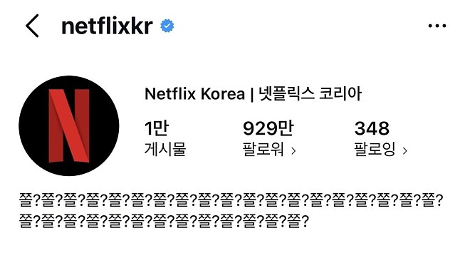 넷플릭스 인스타 근황
