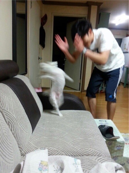 국민의힘 &amp;quot;장동혁 대표 귀국 이틀 연기‥美 국무부 연락받아&amp;quot;