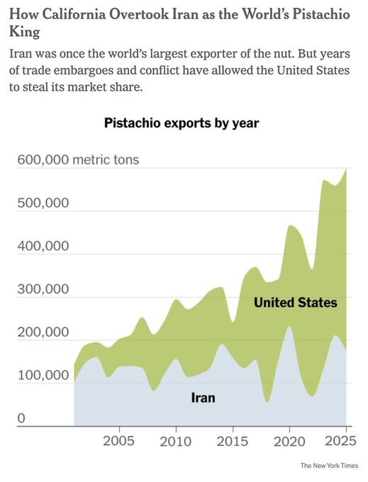 미국은 왜 이란의 피스타치오 공장을 폭격했을까