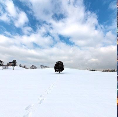 사본 -mania-done-ddc4e08b33e1524eb9b8433522de6c04.jpg