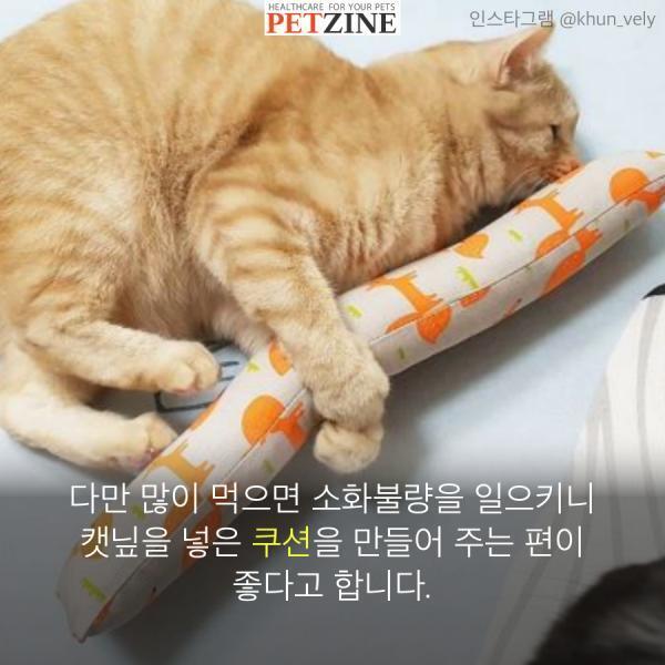 출처:petzine