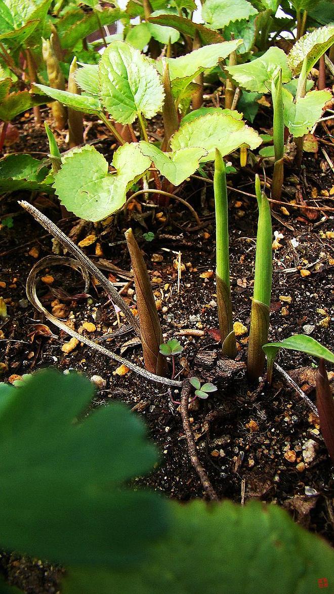 휴지통 파일 삭제 불가상태입니다.