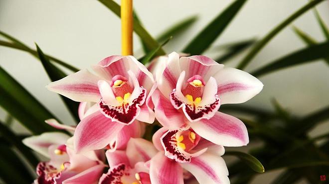 휴지통 파일 삭제 불가상태입니다.