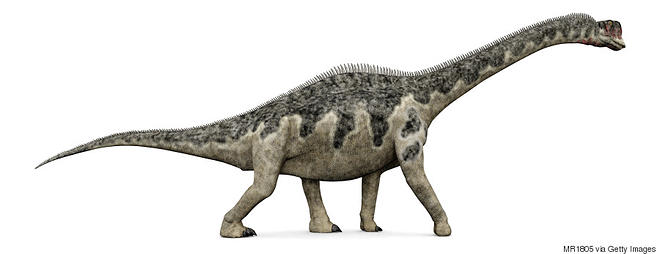 세인트존스 호텔.jpg