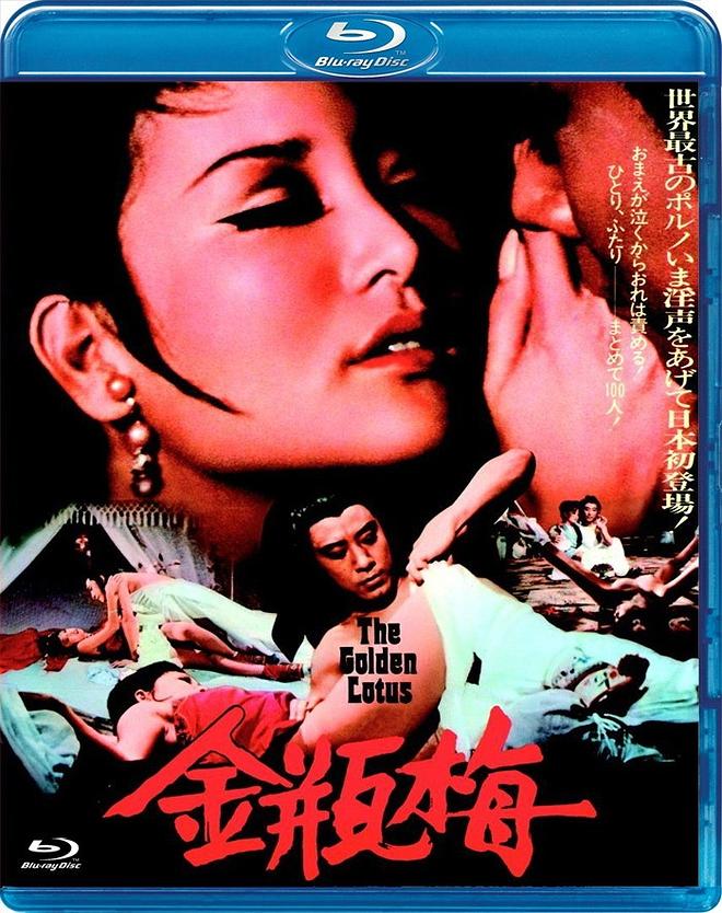 金瓶双艳.The Golden Lotus.1973.HK.BluRay.jpg