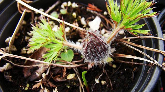 휴지통 파일 삭제 불가상태입니다.