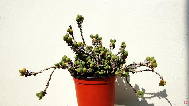 휴지통 파일 삭제 불가상태입니다.