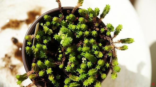 휴지통 파일 삭제 불가상태입니다.