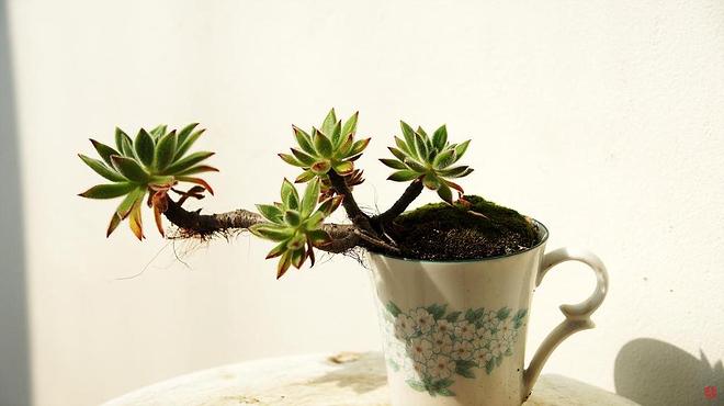 휴지통 파일 삭제 불가상태입니다.