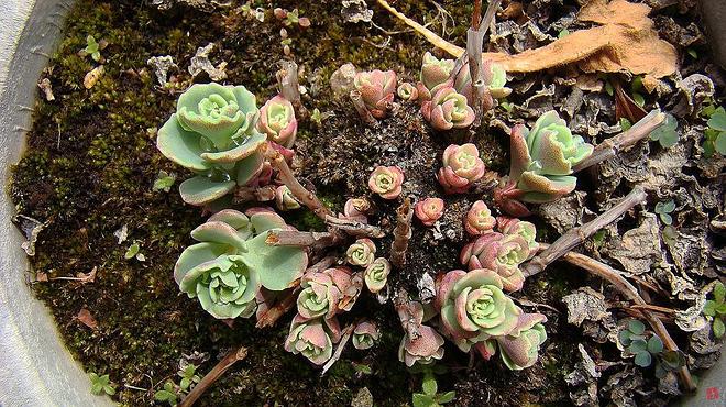 휴지통 파일 삭제 불가상태입니다.