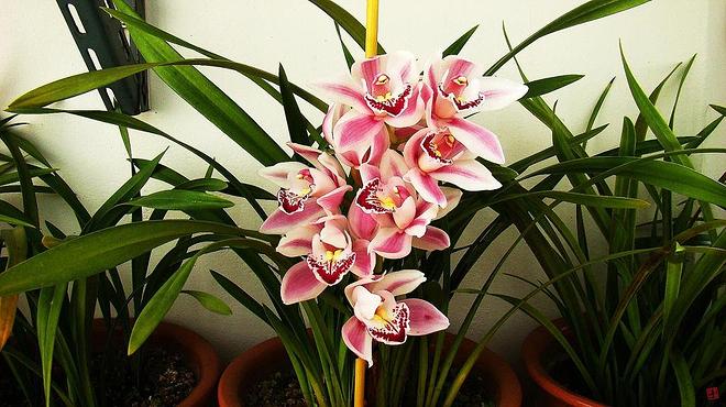 휴지통 파일 삭제 불가상태입니다.