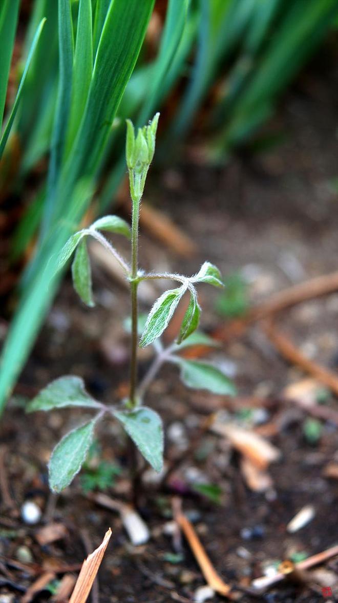 휴지통 파일 삭제 불가상태입니다.