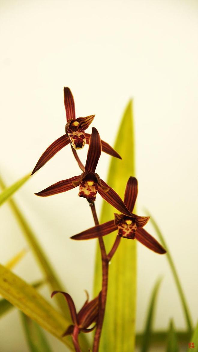 휴지통 파일 삭제 불가상태입니다.