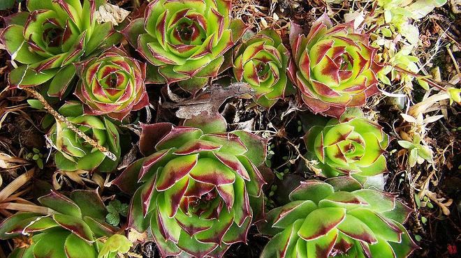 휴지통 파일 삭제 불가상태입니다.