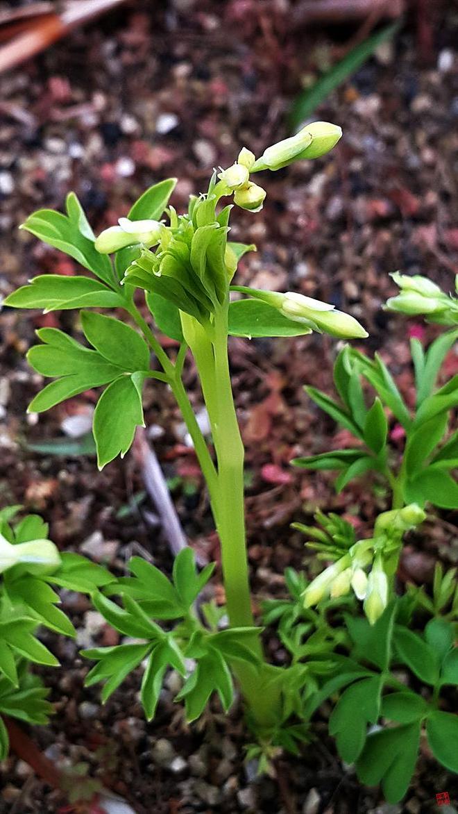 휴지통 파일 삭제 불가상태입니다.