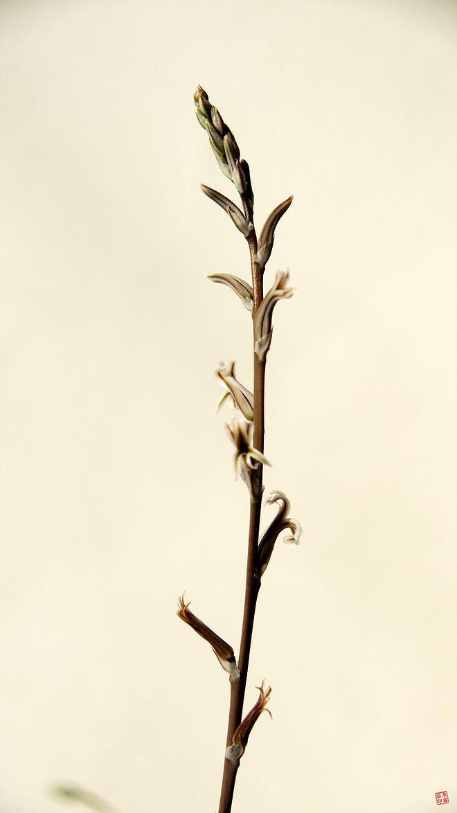 휴지통 파일 삭제 불가상태입니다.