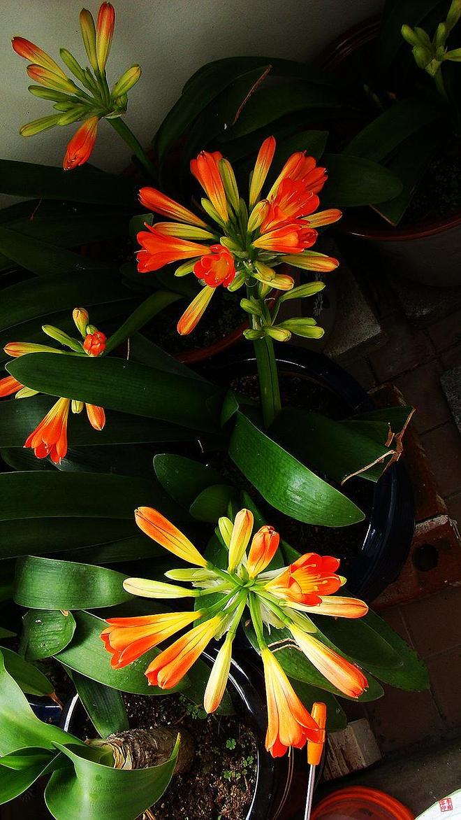 휴지통 파일 삭제 불가상태입니다.